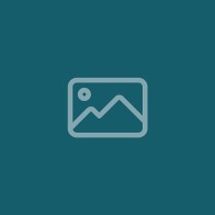 Testartikel mit Up-Sell