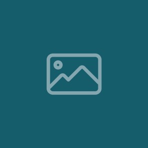 Testartikel mit Up-Sell